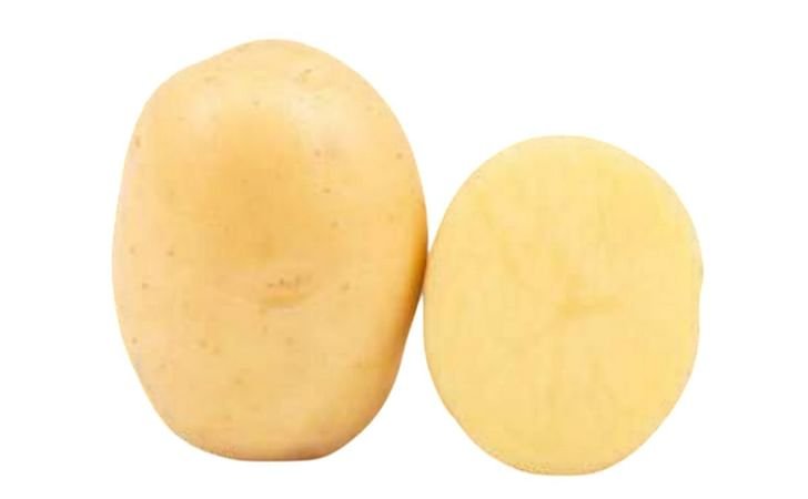 Nostling Potato Supplier